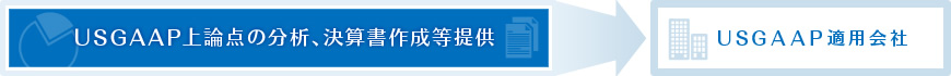 USGAAP上論点の分析、決算書作成等提供⇒USGAAP適用会社